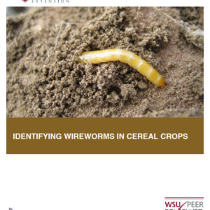 Identifying Wireworms in Cereal Crops
