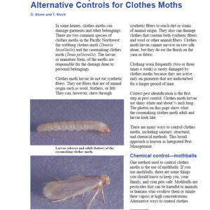 Mothballs: Proper Use and Alternative Controls for Clothes Moths