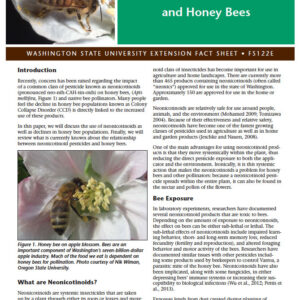 Neonicotinoid Pesticides and Bees