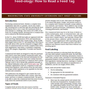 Feed-ology: How to read a feed tag