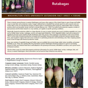 Vegetable Fodder and Forage Crops for Livestock Production: Rutabagas
