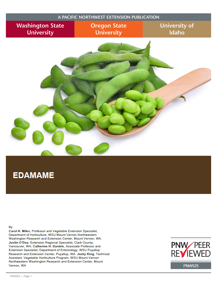 Edamame