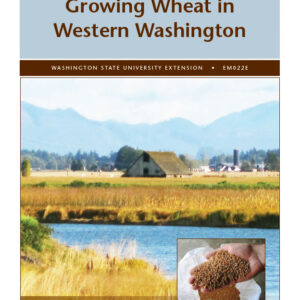 Growing Wheat in Western Washington