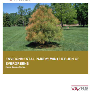 Environmental Injury: Winterburn of Evergreens