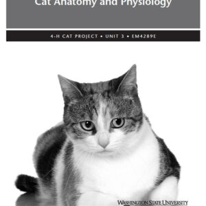 Cat Anatomy & Physiology Unit 3