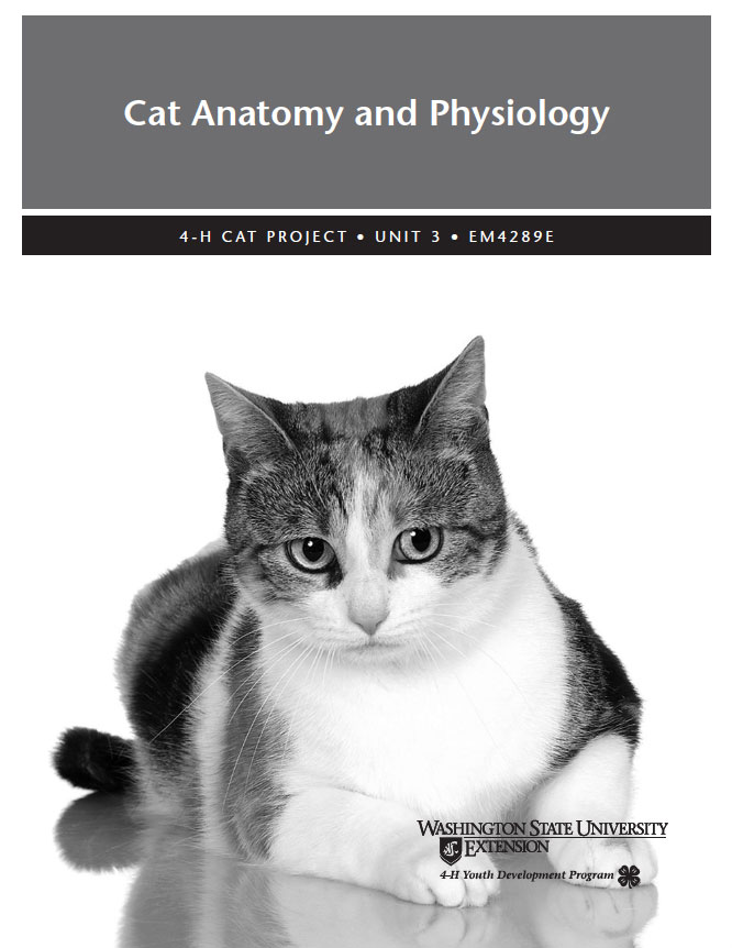 Cat Anatomy & Physiology Unit 3