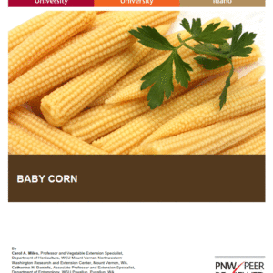Baby Corn