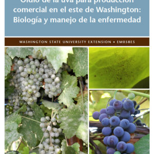 Oídio de la uva para producción comercial en el este de Washington: Biología y manejo de la enfermedad (Powdery Mildew in Eastern Washington Commercial Grape Production: Biology and Disease Management)