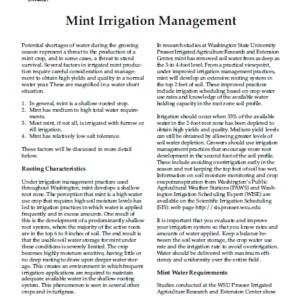 WSU Drought Advisory: Mint Irrigation Management