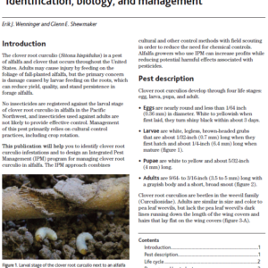 Clover Root Curculio in Alfalfa: Identification, Biology, and Management