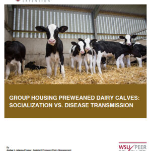 Group Housing Preweaned Dairy Calves: Socialization vs. Disease Transmission