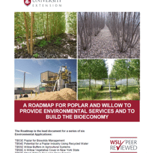 A Roadmap for Poplar and Willow to Provide Environmental Services and to Build the Bioeconomy