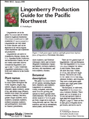 Lingonberry Production Guide for the Pacific Northwest