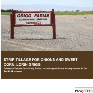 Strip-tillage for Onions and Sweet Corn, Lorin Grigg (Farmer-to-Farmer Case Study Series)