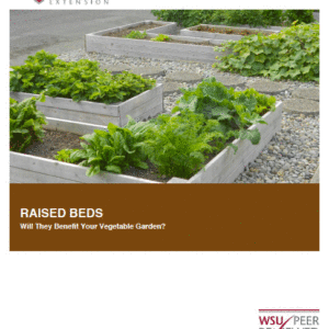 Raised Beds -Deciding if they Benefit Your Vegetable Garden (Home Garden Series)