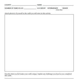 Creative Consumers of Fashion Data Sheet