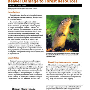 Identifying and Managing Mountain Beaver Damage to Forest Resources