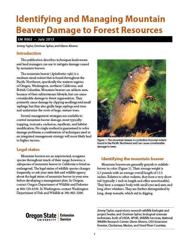 Identifying and Managing Mountain Beaver Damage to Forest Resources