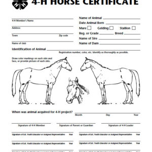 4-H Horse Certificate