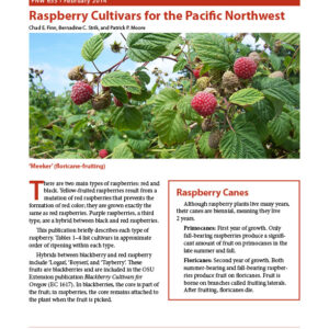 Raspberry Cultivars for the Pacific Northwest