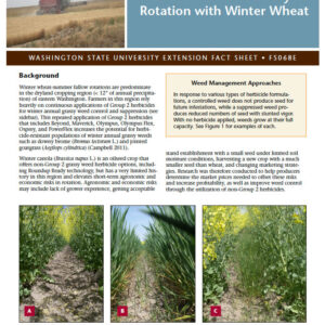 Winter Canola Feasibility in Rotation with Winter Wheat