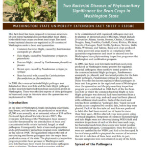 Common Bacterial Blight and Halo Blight: Two Bacterial Diseases of Phytosanitary Significance for Bean Crops in Washington State