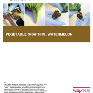 Vegetable Grafting: Watermelon