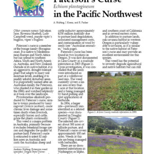 Paterson's Curse (Echium plantagineum) in the Pacific Northwest
