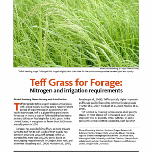 Teff Grass for Forage: Nitrogen and irrigation requirements