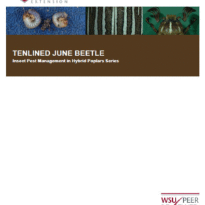 Tenlined June beetle: Insect Pest Management in Hybrid Poplars series