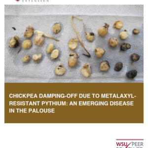 Chickpea damping-off due to metalaxyl-resistant Pythium: An emerging disease in the Palouse