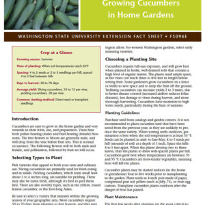 Growing Cucumbers in Home Gardens (Home Garden Series)