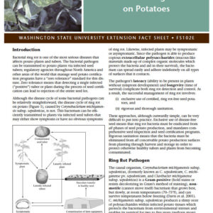 Bacterial Ring Rot on Potatoes