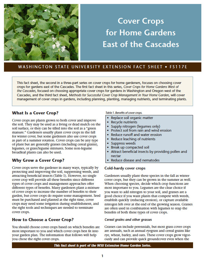 Cover Crops for Home Gardens East of the Cascades (Home Garden Series)