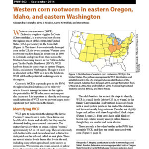Western Corn Rootworm in Eastern Oregon, Idaho, and Eastern Washington