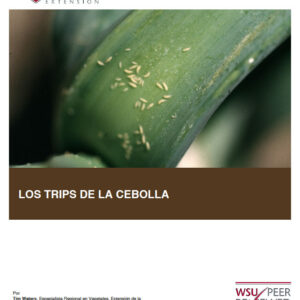 Los Trips de la Cebolla (Onion Thrips - SPANISH translation)