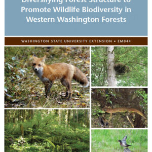 Diversifying Forest Structure to Promote Wildlife Biodiversity in Western Washington Forests