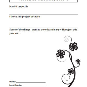 Project Record, Level 1