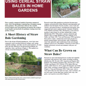 Using Cereal Straw Bales in Home Gardens