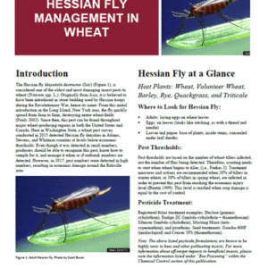 Hessian Fly Management in Wheat