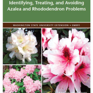 Identifying, Treating, and Avoiding Azalea and Rhododendron Problems