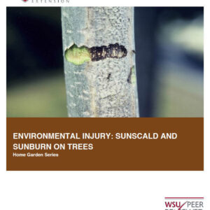 Environmental Injury: Sunscald and Sunburn on Trees (Home Garden Series)