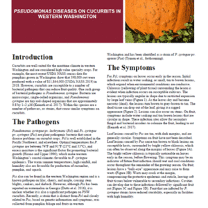 Pseudomonas diseases on cucurbits in western Washington
