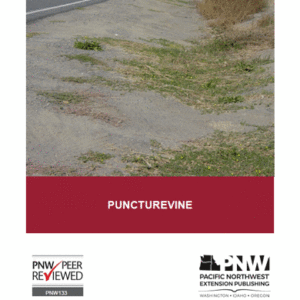 Puncturevine