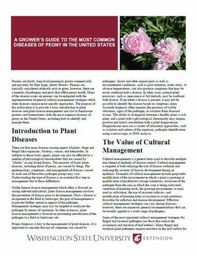 A Grower's Guide to the Most Common Diseases of Peony in the United States