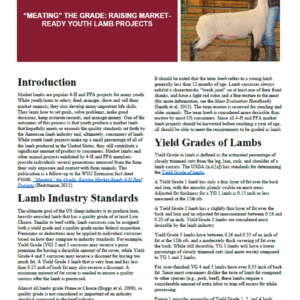 "Meating" the Grade: Raising Market-Ready Youth Lamb Projects