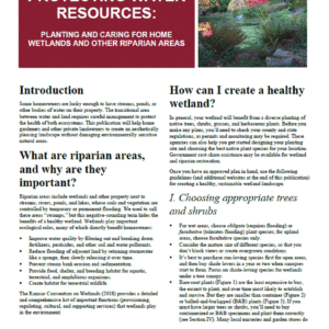 Protecting Water Resources: Planting and Caring for Home Wetlands and Other Riparian Areas (Home Garden Series)