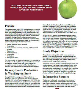 2019 Cost Estimates of Establishing, Producing, and Packing Granny Smith Apples in Washington