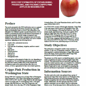 2019 Cost Estimates of Establishing, Producing, and Packing Cripps Pink Apples in Washington