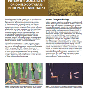 Integrated Management of Jointed Goatgrass in the Pacific Northwest